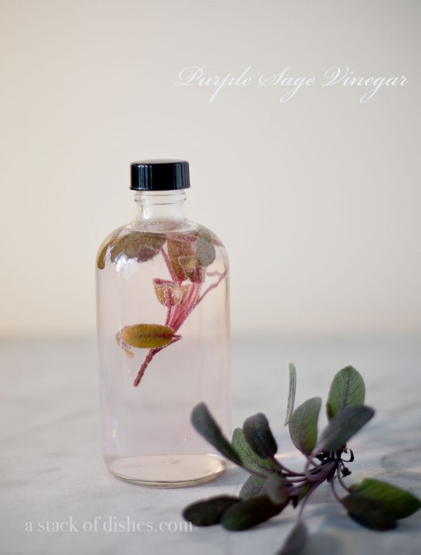 purple sage vinegar, homemade vinegar