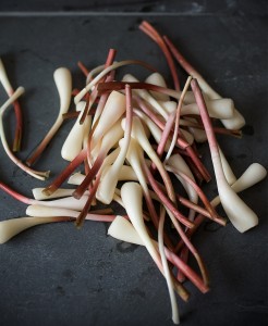 Prepared Ramps for Pickling ~ A stack of dishes