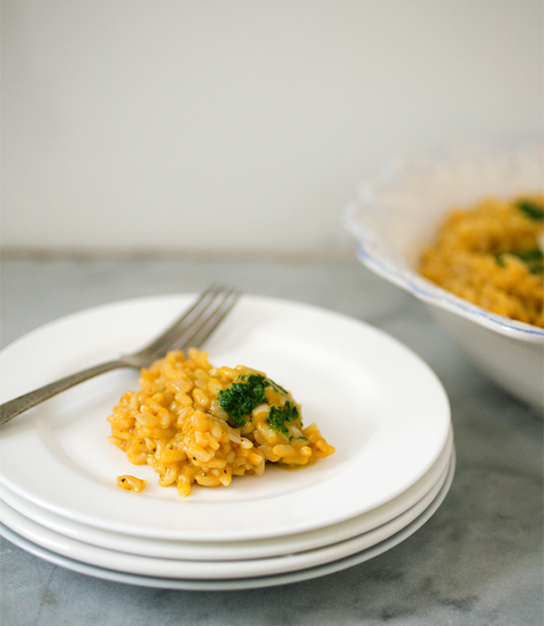 squashrisotto1