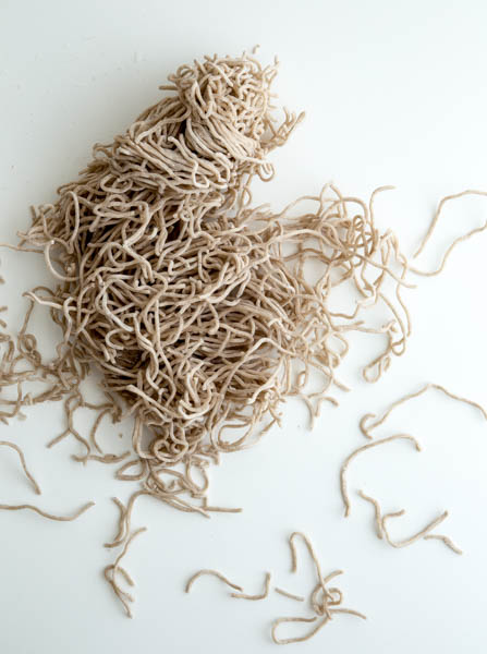 Pre-cooked Soba Noodles- A Stack of Dishes