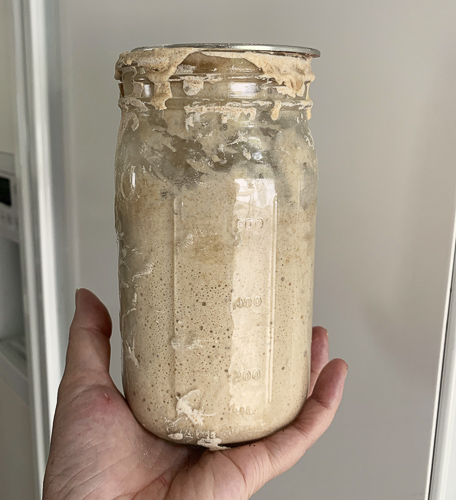 How Does Sourdough Starter Work and How to Get One Started? - The