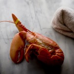 lobster, saffron oil, steamed lobster