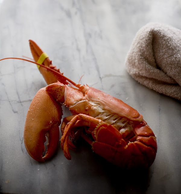 lobster, saffron oil, steamed lobster