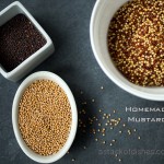 Homemade Mustard~ A Stack of Dishes.com