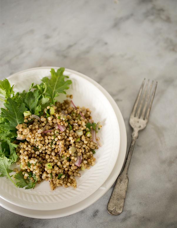sorghum salad~A Stack of Dishes.com